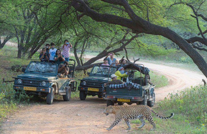 Jhalana Safari Park, Jaipur, Rajasthan - Vushii.com